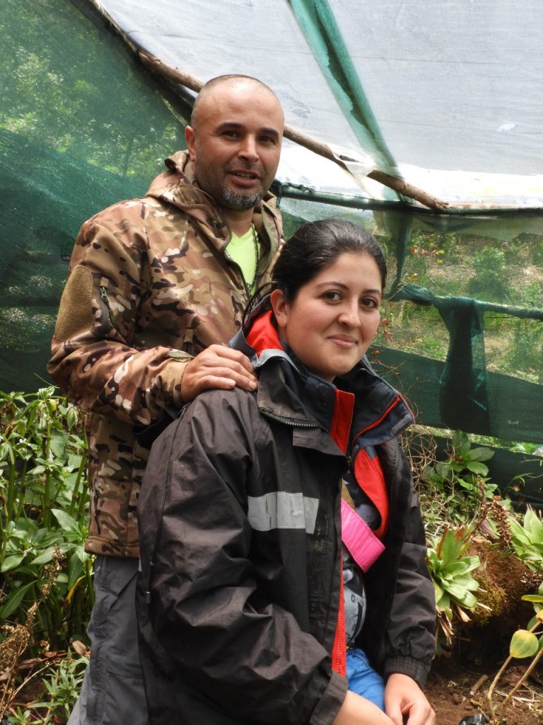 MONTAÑAS DEL KOI: PRODUCCIÓN EN ARMONÍA CON EL AMBIENTE