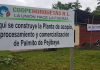 SARAPIQUÍ TENDRÁ PLANTA PARA PROCESAR Y VENDER PALMITO