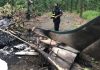 ACCIDENTE DE NARCO AVIONETA DEJA SEIS FALLECIDOS, DOS PERSONAS HERIDAS Y DOS MÁS EN FUGA