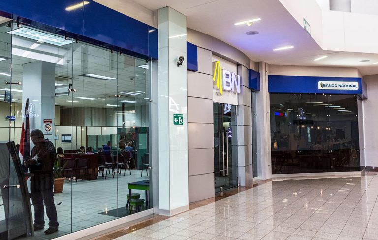 BN SE INCORPORA A RED GLOBAL QUE MIDE EL IMPACTO CLIMÁTICO DEL SECTOR FINANCIERO