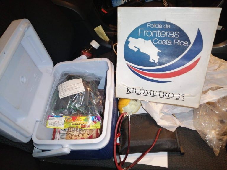 INICIA EL CONTRABANDO DE PÓLVORA