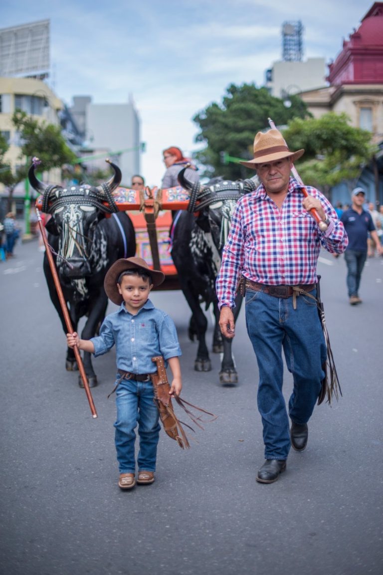 200 YUNTAS DE BUEYES TOMARÁN LA CAPITAL ESTE DOMINGO