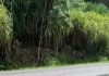 UN MUERTO Y DOS HERIDOS EN COLISIÓN