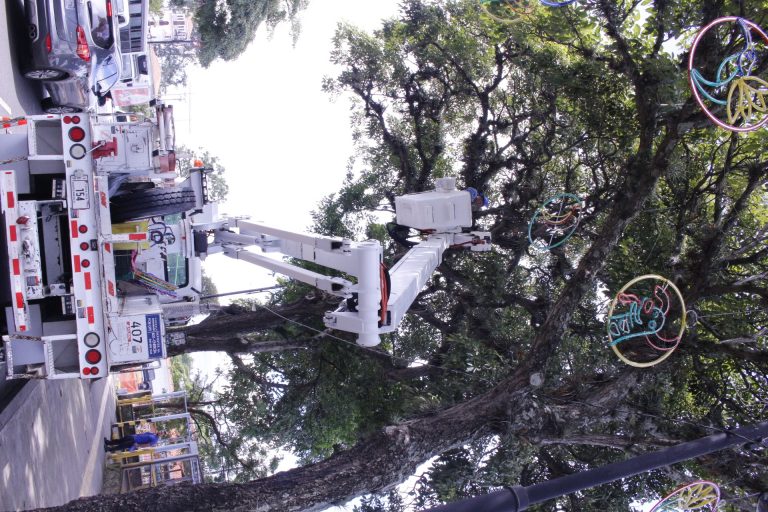 LA CAPITAL SE VISTE DE NAVIDAD ESTA NOCHE