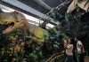 DINOSAURIOS “ANIDAN” EN SAN PABLO DE HEREDIA