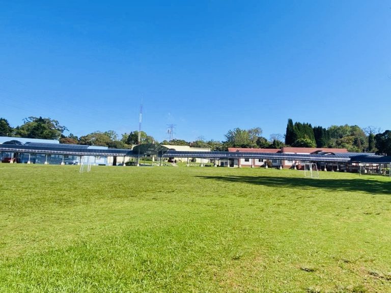 HOSPITAL SIQUIATRICO INTRODUCE NUEVAS TERAPIAS