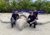 ESCULTURA DE TORTUGA GIGANTE PARA PROMOVER LA CONSTRUCCIÓN SOSTENIBLE