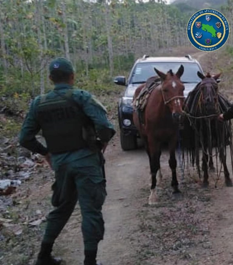 POLICÍA DECOMISA CABALLOS EN LA FRONTERA NORTE