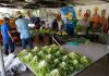 INA DONA ALIMENTOS ORGÁNICOS A ORGANIZACIONES DE BIEN SOCIAL