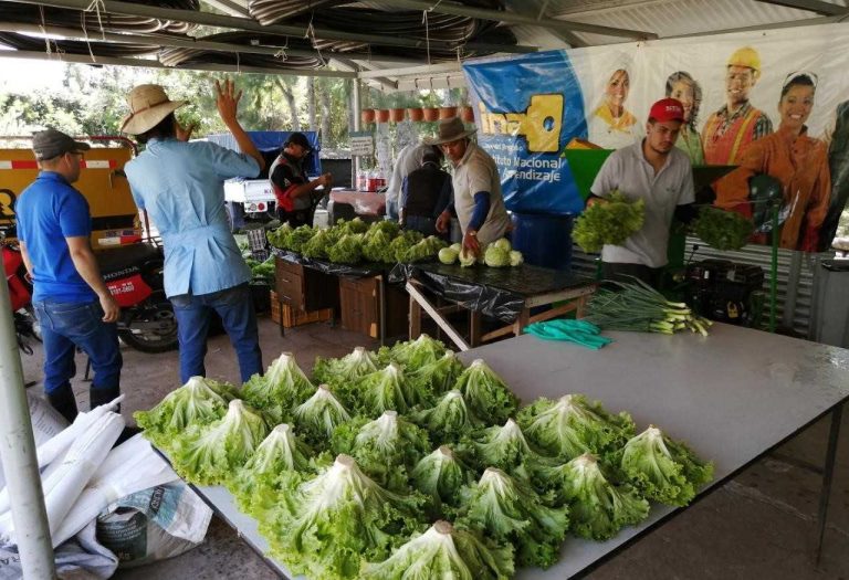 INA DONA ALIMENTOS ORGÁNICOS A ORGANIZACIONES DE BIEN SOCIAL