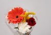 CAMPAÑA BUSCA AYUDAR A FLORICULTORES Y AGRADECER A PERSONAL DE SALUD