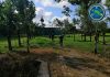 ONU AYUDARÁ A COSTA RICA PARA ATENDER EMERGENCIA SANITARIA EN LA ZONA NORTE