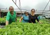 FAMILIA TRABAJA UNIDA PARA SUPERAR LA CRISIS