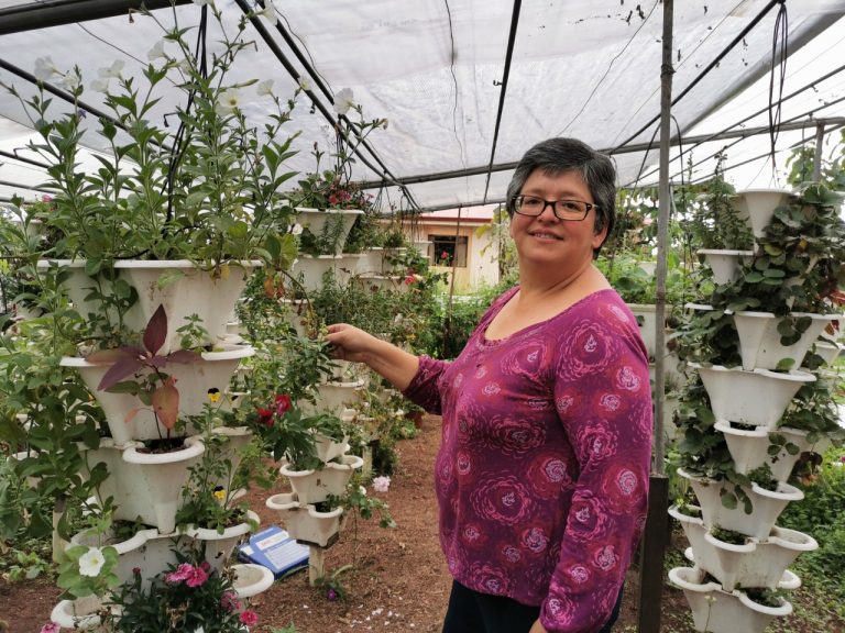 CAMBIO LA LECHUGA POR FLORES COMESTIBLES