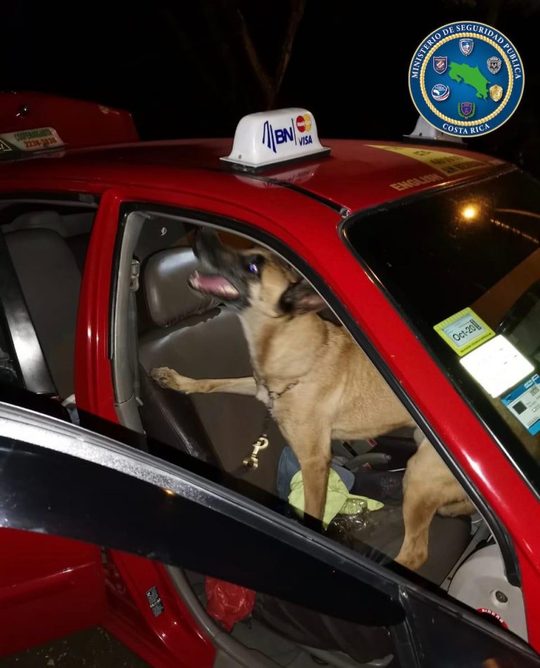 TAXISTA LLEVABA DROGA EN EL TECHO DEL CARRO