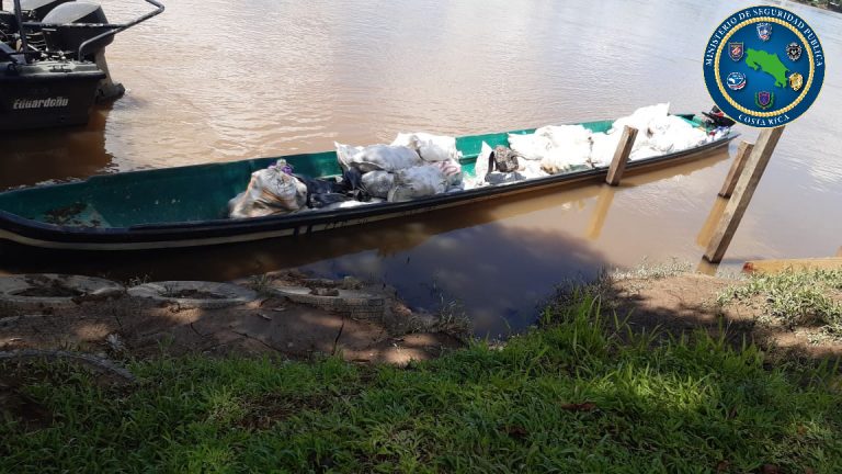 DECOMISAN MEDIA TONELADA DE MALANGA DE CONTRABANDO EN SARAPIQUÍ