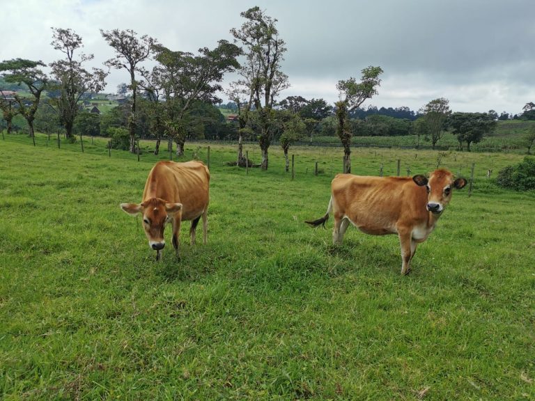 APROBADO QUE INS DE 1.500 MILLONES PARA CONSTRUIR CENTRO DE VALOR AGREGADO