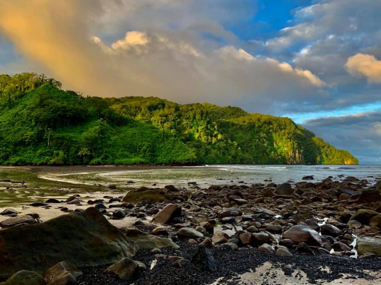 PIDEN COLOCAR LA NATURALEZA EN EL CENTRO DE LA RECUPERACIÓN POST PANDEMIA