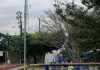 PARQUES Y ZONAS PÚBLICAS PODRÍAN ABRIRSE SIGUIENDO PROTOCOLOS SANITARIOS