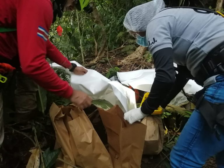 OIJ ENCUENTRA MÁS HUESOS Y ROPA DE ALLISON