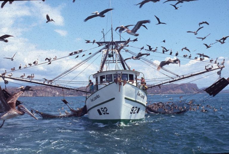 PRESIDENTE VETA LEY PARA PESCA DE CAMARÓN