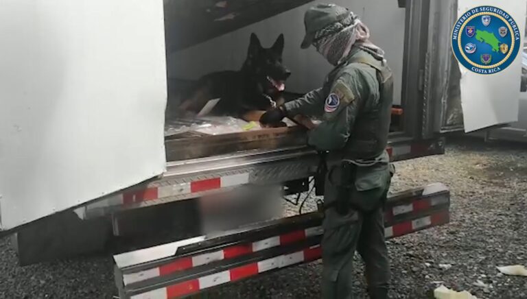 NUEVO GOLPE AL NARCO: DECOMISAN 840 PAQUETES DE COCAÍNA