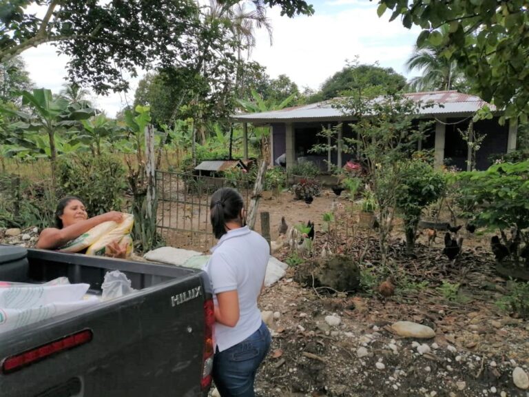 MÁS DE SEIS MIL ANIMALES AFECTADOS POR TORMENTA ETA