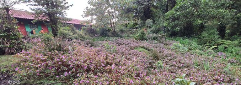 MAÑANA SE REANUDA BÚSQUEDA DE JÓVENES PERDIDOS EN CERRO DANTA