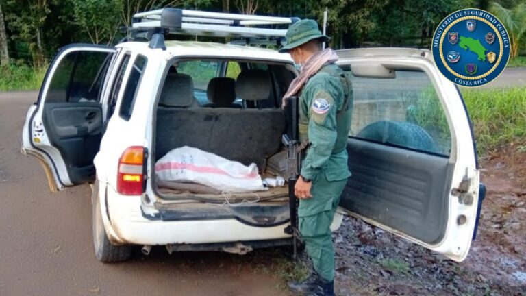 DECOMISAN CAMIÓN CON DROGA PARA VIOLACIONES