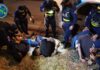 CUATRO JÓVENES DETENIDOS POR BALACERA EN PASO ANCHO
