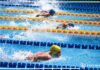 NADADORES HEREDIANOS COSECHAN MEDALLAS EN REGRESO A LAS COMPETENCIAS