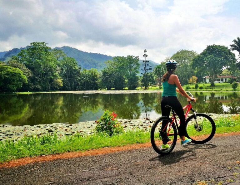 GOBIERNO CERRARÁ TODA LA SEMANA SANTA