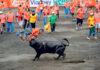 IMPROVISADOS DEBERÁN C0NTAR CON PÓLIZAS EN CORRIDAS DE TOROS