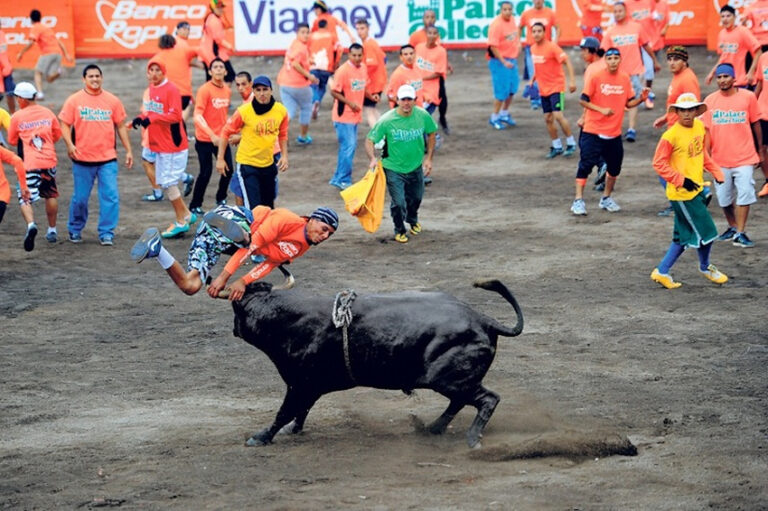 SÍ HABRÁ TOROS A FIN DE AÑO… PERO POR TV