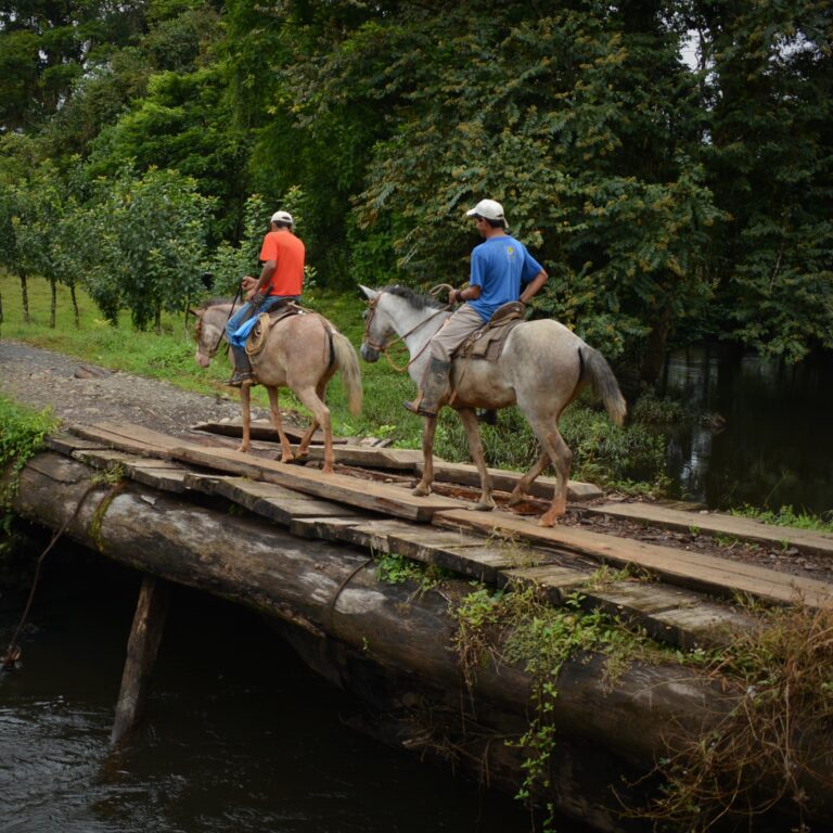 CON APOYO INTERINSTITUCIONAL 42 MUNICIPALIDADES TENDRÁN PLANES PARA MEJORAR SUS CALLES