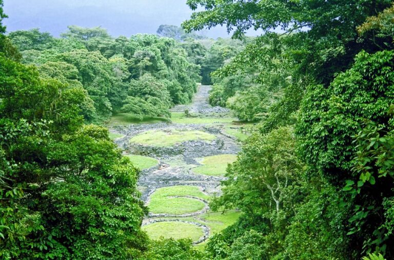 MONUMENTO GUAYABO OFRECERÁ VISITAS GUIADAS