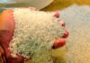 CONARROZ Y GOBIERNO NO SE PONEN DE ACUERDO SOBRE DESABASTO DE ARROZ