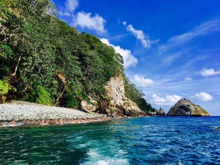 URGE PROTEGER LA ISLA DEL COCO Y MONTES SUBMARINOS