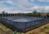 FAMILIAS PRODUCTORAS DE CARTAGO ESTRENAN RESERVORIOS DE AGUA
