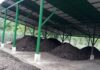 INVESTIGACIÓN DA CLAVES PARA MEJORAR EL RECICLAJE MUNICIPAL