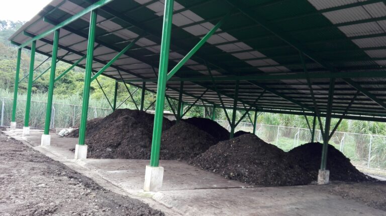 INVESTIGACIÓN DA CLAVES PARA MEJORAR EL RECICLAJE MUNICIPAL