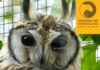 ¡DISFRUTE LA ÚLTIMA SEMANA DE VACACIONES VISITANDO LOS ZOOLÓGICOS!
