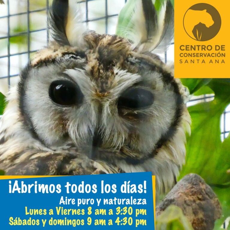 ¡DISFRUTE LA ÚLTIMA SEMANA DE VACACIONES VISITANDO LOS ZOOLÓGICOS!