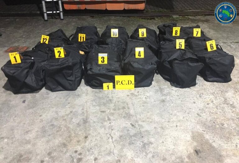 DECOMISAN 350 KILOS DE COCAÍNA ENTRE PLANTAS ORNAMENTALES