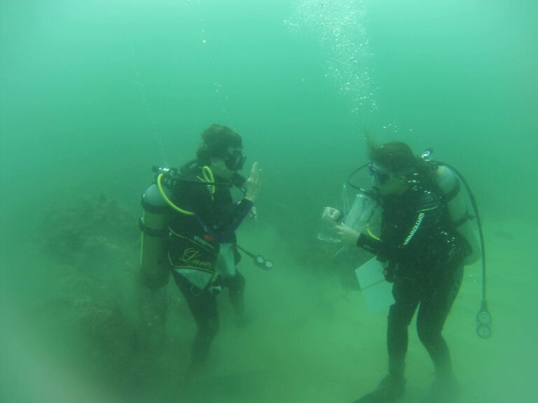 DAÑOS EN CORALES NO SON CAUSADOS POR ENFERMEDADES