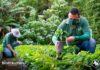 COOPETARRAZÚ MEJORA SUS CULTIVOS CON PRODUCTOS SOSTENIBLES Y REGENERATIVOS
