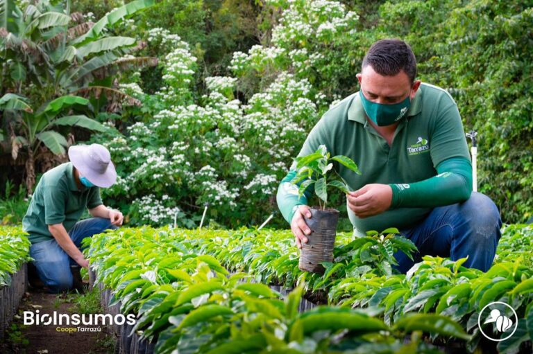 COOPETARRAZÚ MEJORA SUS CULTIVOS CON PRODUCTOS SOSTENIBLES Y REGENERATIVOS