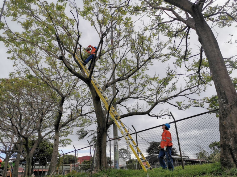 CNFL PODA ÁRBOLES PARA EVITAR DAÑOS ELÉCTRICOS POR LAS LLUVIAS