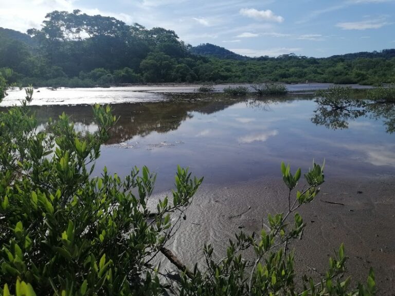 FUNDACIÓN CORCOVADO ASUMIRÁ GESTIÓN DE MANGLARES COSTA RICA-BENÍN