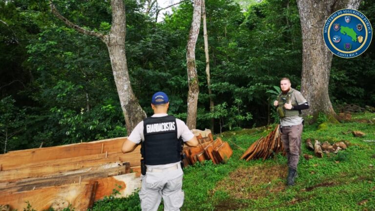 GUARDACOSTAS Y SINAC DETIENEN A TRES POR TALA ILEGAL